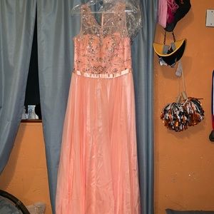 Peach Special Occasion/Prom Dress